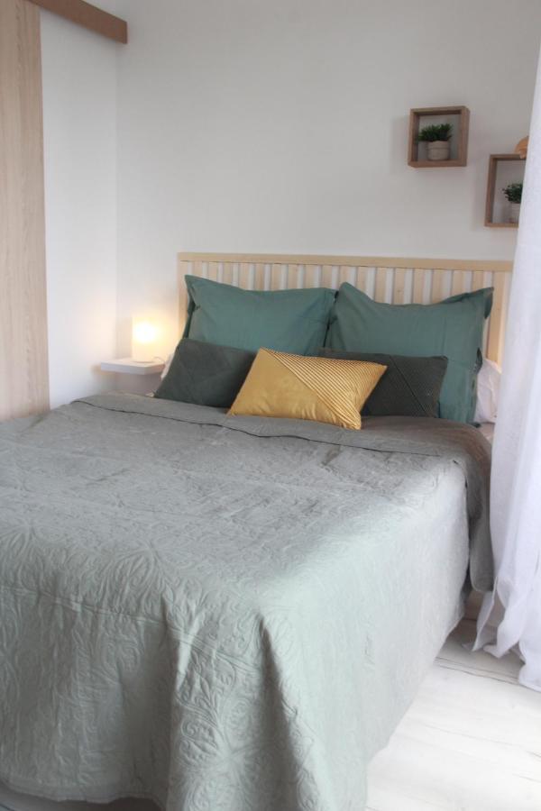 Les Palmiers - Appartement Avec Piscine Proche Plages - Wifi Et Clim 昂蒂布 外观 照片