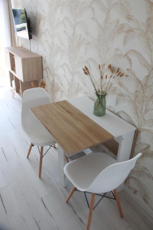 Les Palmiers - Appartement Avec Piscine Proche Plages - Wifi Et Clim 昂蒂布 外观 照片